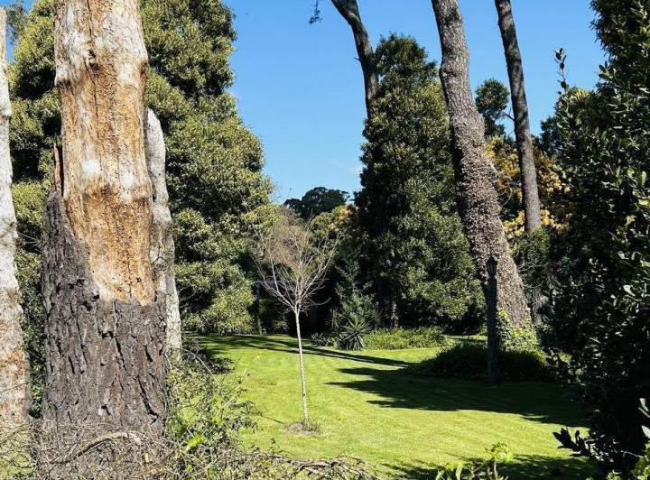 Terreno · 1125m²