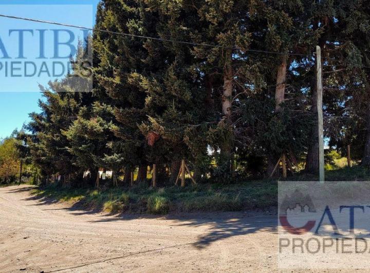 Terreno · 278m²