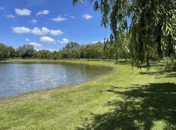 Terreno · 5500m² · Venta Chacra 5500 Mt Chacras de Abbott Excelente!