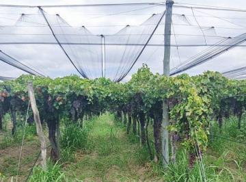 Terreno · 240000m² · Venta Finca 24 Ha La Dormida