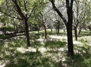 Casa de 3 ambientes, Bialet Massé · Casa de 900 m² con 2 Dorm. en Venta en Bialet Massé