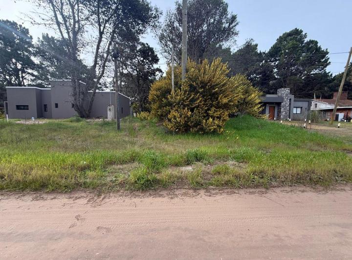 Terreno · 556m²