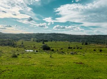 Campo · 5ha · Chacra de 5 Hectáreas en Las Cañas, Maldonado