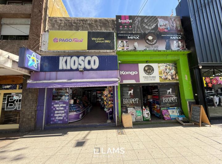 Local comercial · 53m² · 1 Ambiente