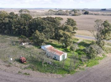 Campo · 200ha · Chacra en Venta 16ha en Rta Nac. 226 y 3 - Azul
