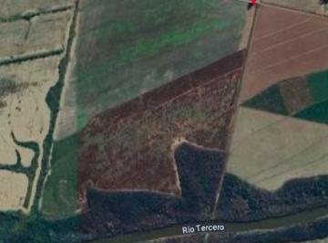 Campo · 80ha · Campo en Colonia Veinticinco