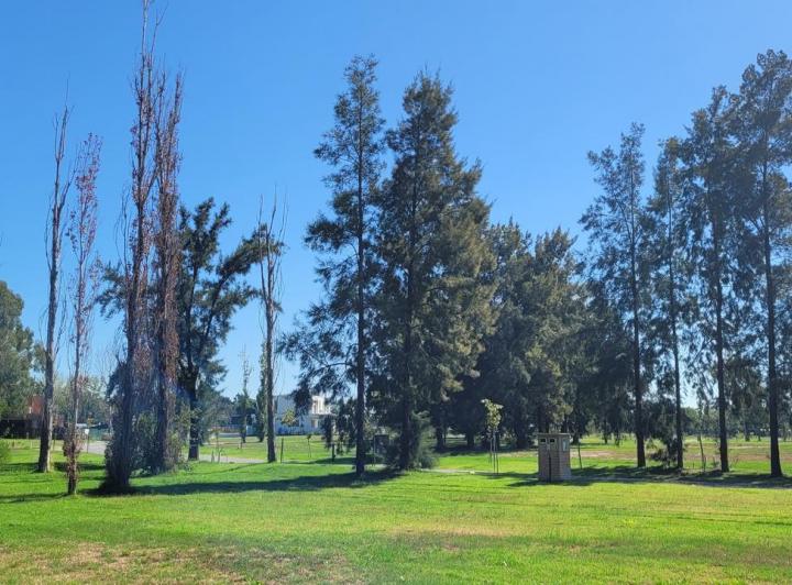 Terreno · 1233m²