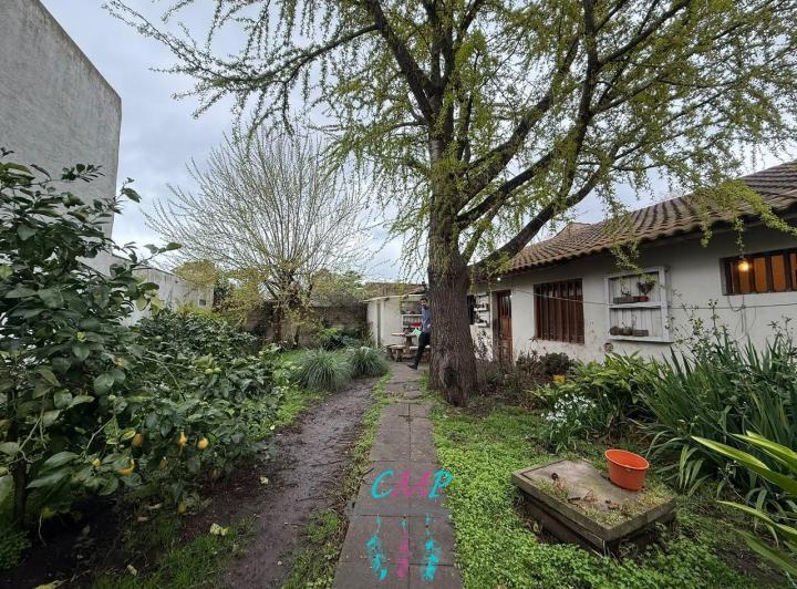 Casa · 527m²