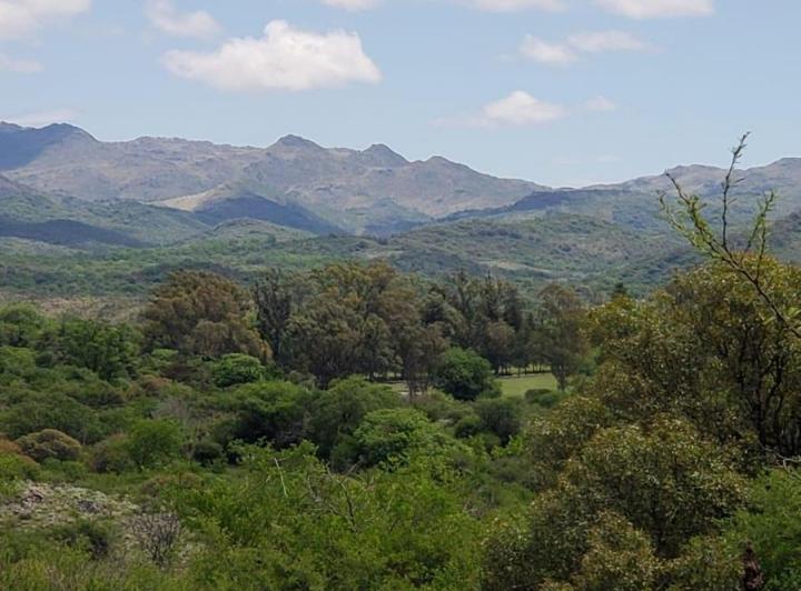Terreno · 16400m²