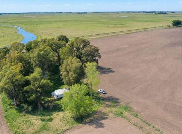 Campo , Pila · Campo 21,5 Ha Partido de Pila, Provincia de Buenos Aires.