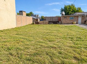 Terreno , Allen · Lote en Venta Allen (B. Las Viñas)