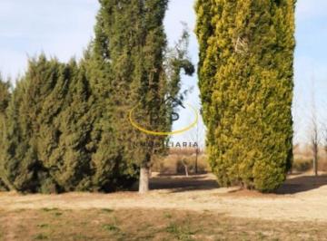 Campo , Cañada Seca · Finca 5 Hect Ruta Nacional 143