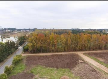 Foto · Venta Lote 1500 m. (Lotes 125/126) Barrio Parque Los Robles (Anticipo y Cuotas Fijas)