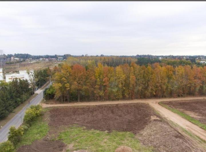 Terreno · 1500m² · 1 Ambiente