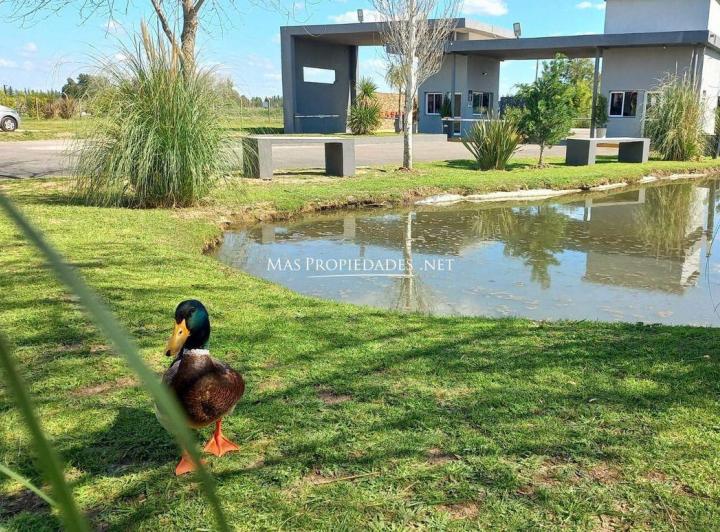 Departamento · 53m² · 3 Ambientes · 1 Cochera