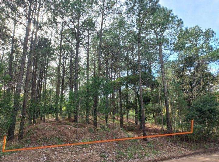 Terreno · 1032m²