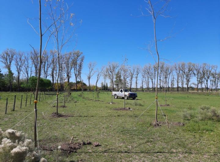 Terreno · 5011m²