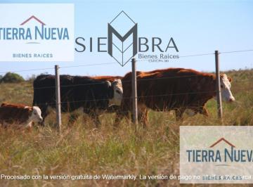 Campo · 281ha · Campo en Bahia Blanca