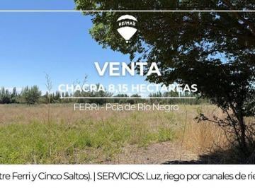 Campo · 8ha · Venta de Chacra en Ferri Cipolletti