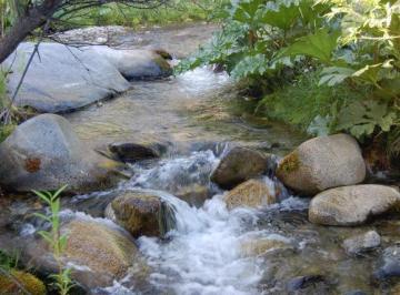 Campo · 80ha · Campo 80 Ha en Epuyen Chubut