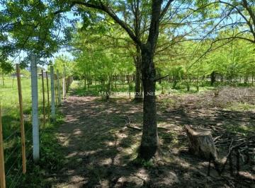 Terreno , San Vicente · Venta Terreno / Lote en Barrio El Ministro San Vicente