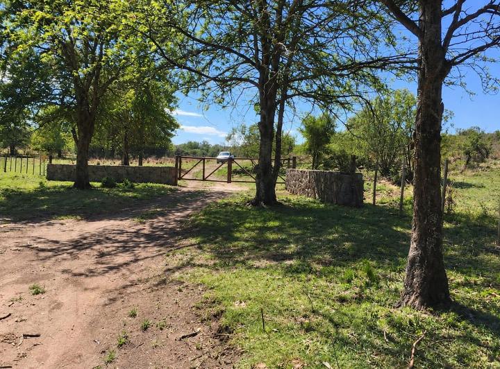 Terreno · 93000m²