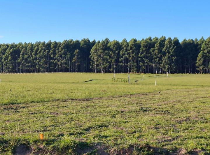 Terreno · 507m²