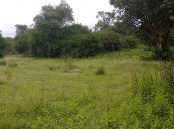 Foto · Campo 200 Ha Norte de Cordoba - Se Reciben Bienes