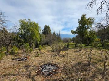 Terreno · 4892m² · Media Hectarea con Bosque Nativo en Las Golondrinas, Chubut