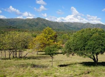 Terreno , Casa Grande · Terreno en Venta en Casa Grande - Fincas del Valle
