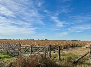 Campo · 90ha · Venta Campo, Villada, Santa Fe