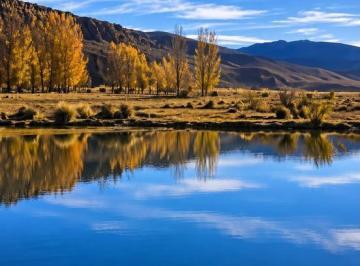 Campo · 164000ha · Vende 164.000 Hectáreas en Malargüe, Al Pie de La Cordillera de Los Andes. Mendoza