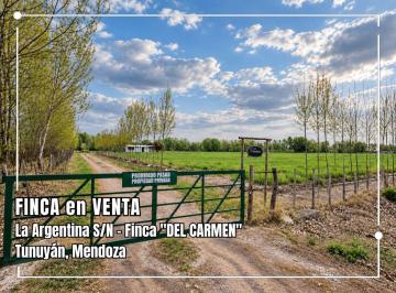 Campo , Tunuyán · La Argentina S/n - Finca "Del Carmen"