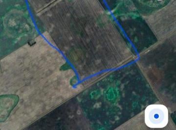 Campo , Benito Juárez · Excelente Campo Mixto de 150has a Tranquera Cerrada