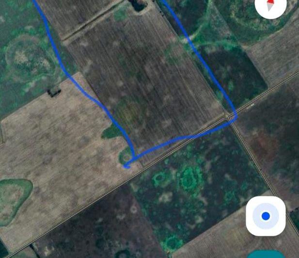 Campo · 150ha