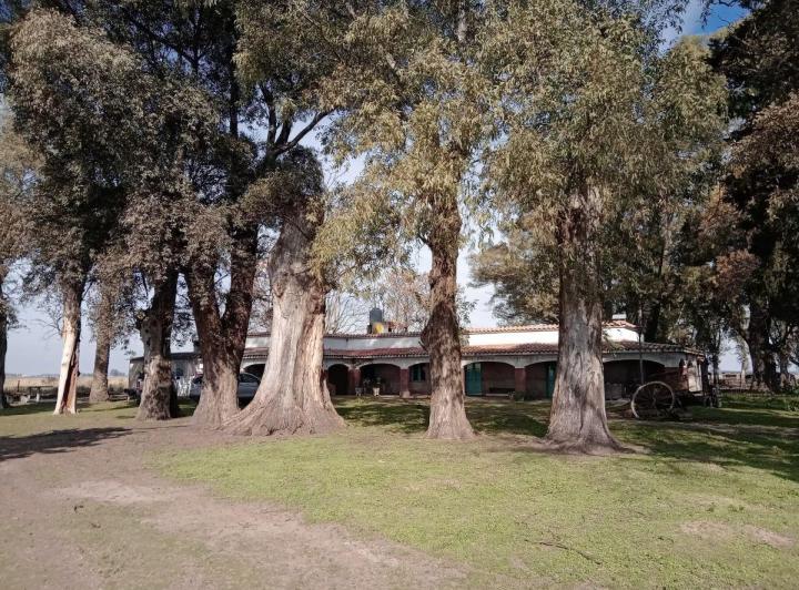 Campo · 80m²