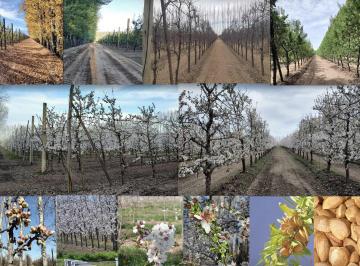 Campo · 300000ha · Chacra 17has en Venta Sobre Ruta 151, Campo Grande, Rio Negro