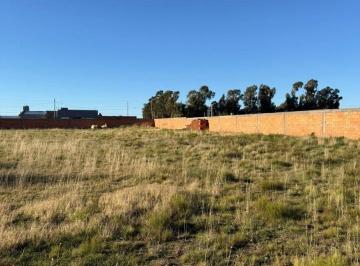 Terreno , Bahía Blanca · Terreno en Venta - Zona Industrial Avellaneda 3700 Bahía Blanca