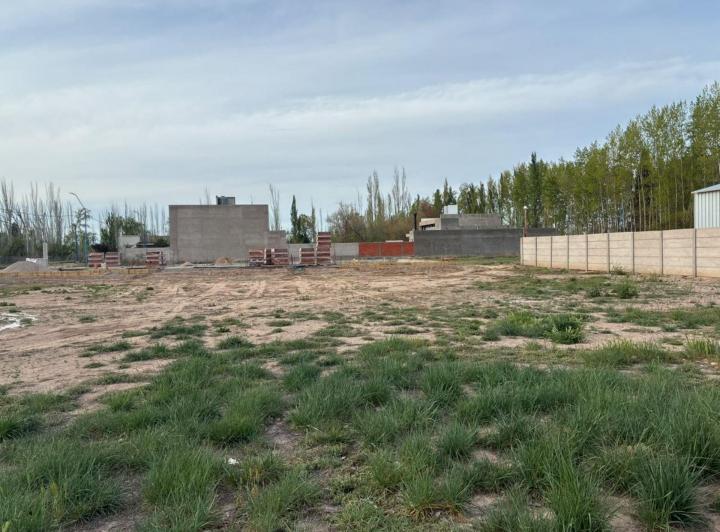 Terreno · 446m²