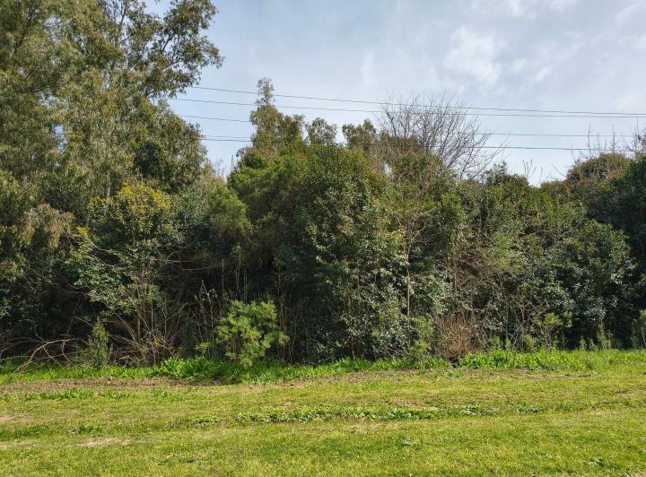 Terreno · 9000m²