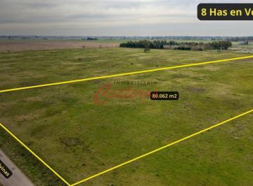 Campo · 8ha · Campo de 8 Has en Venta a 1000 m E Ruta N205 · Zona Club de Campo Cañuelas Golf · Cañuelas