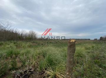 Campo · 21ha · 21 Ha Campo en Marcos Paz Cercano a 20 de Junio