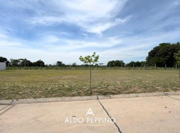 Foto · Lote Premium - Campo Chico