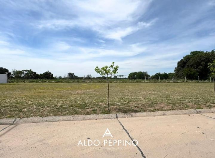 Terreno · 360m² · 1 Ambiente