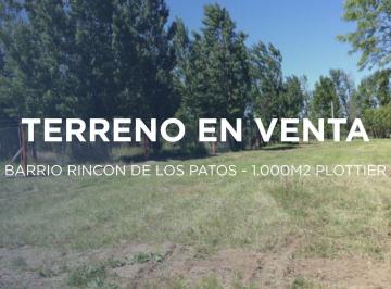 Terreno · 1000m² · Terreno en Venta en Rincón de Los Patos Plottier