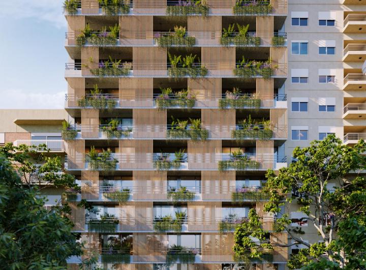 Desarrollo vertical