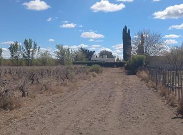 Terreno · 80498m² · Venta Terreno 8ha en General Alvear Mendoza
