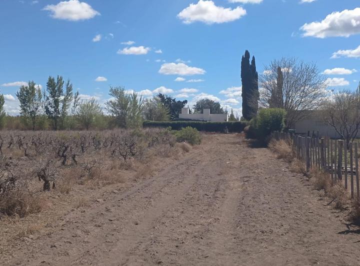 Terreno · 80498m²