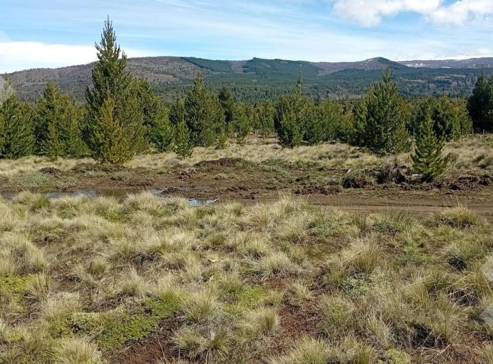 Terreno · 2492m²