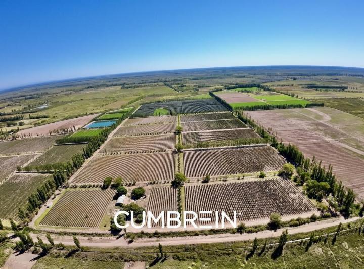 Campo · 830000m²
